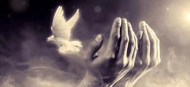 Expressing Feelings: Self-Compassion & Emotional Well-being
