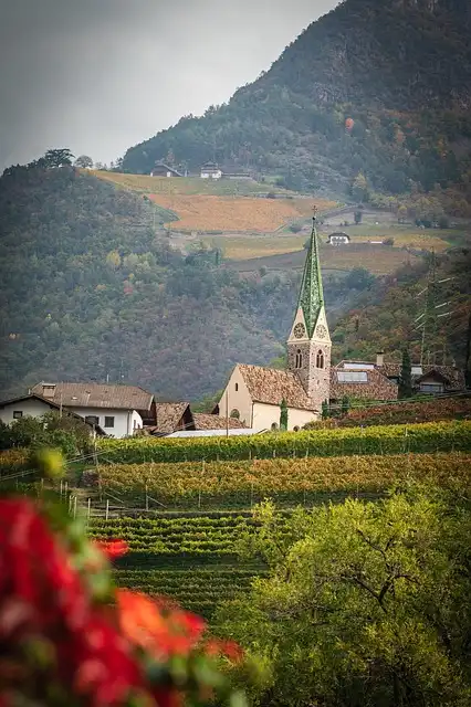 Lopota Lake Hotel: Family, Hospitality, and Georgian Culture