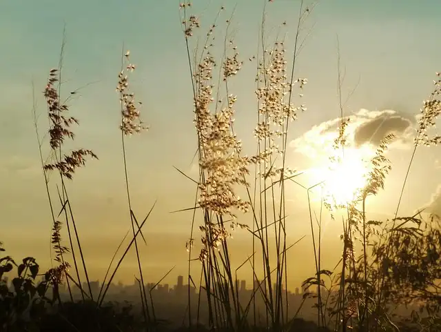 Manila: Long-Stay Tourism & Hotel Growth