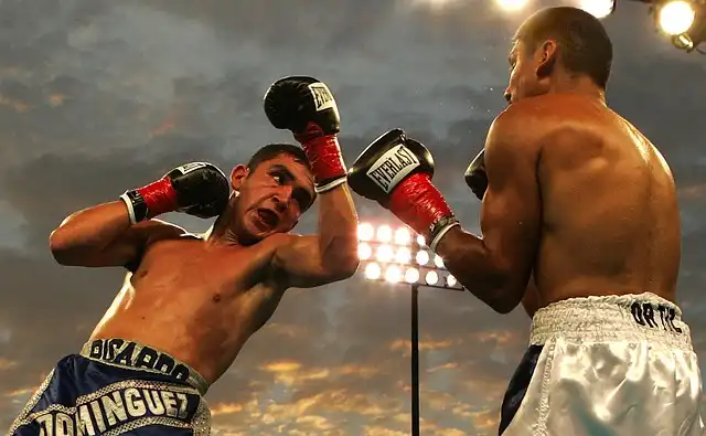 Champion x JAB: Boxing Heritage Meets Modern Performance